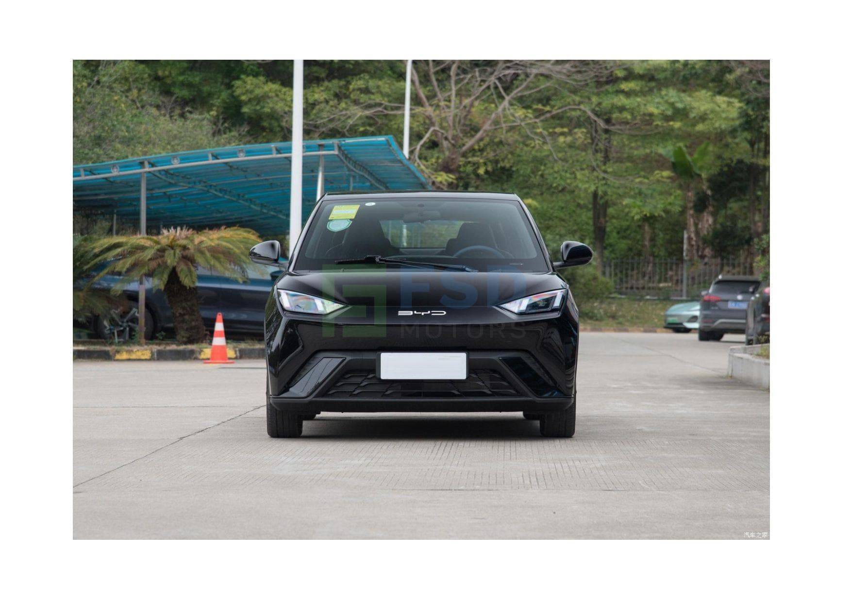 BYD Seagull Fly Version 