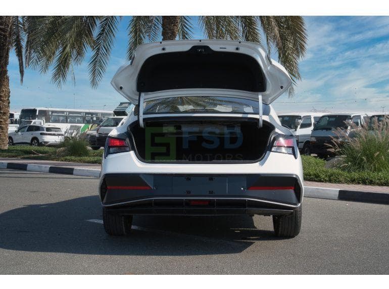 Hyundai Elantra GLX Elite Edition